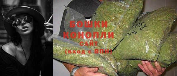 дмт Карпинск