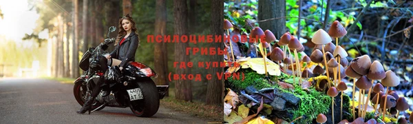 дмт Карпинск