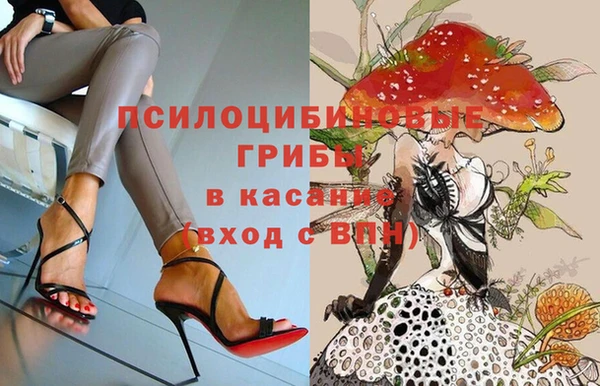 дмт Карпинск