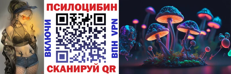 Псилоцибиновые грибы Cubensis  Купить  Губкинский 