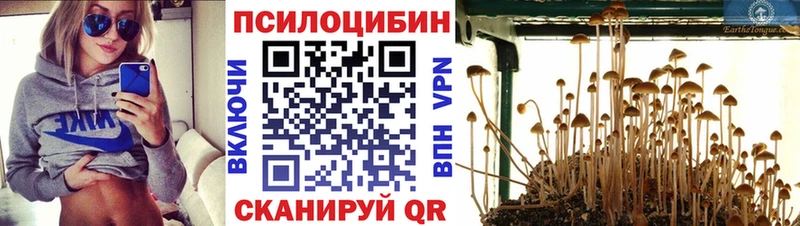 Псилоцибиновые грибы Magic Shrooms Губкинский